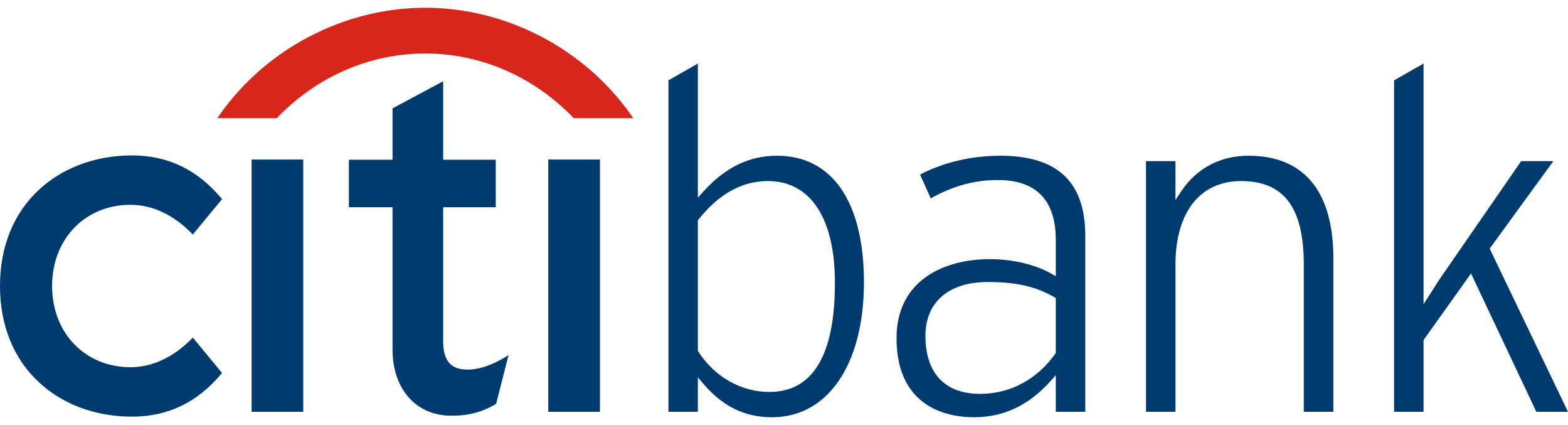 Citibank Logo
